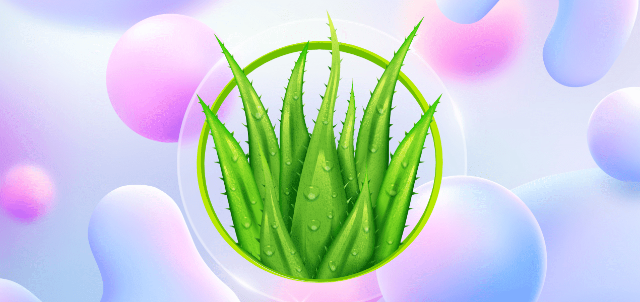 Усе про корисні властивості алое