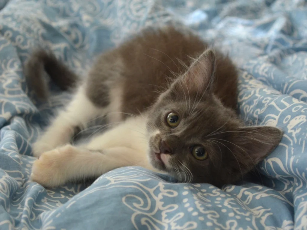 Индивидуальные потребности