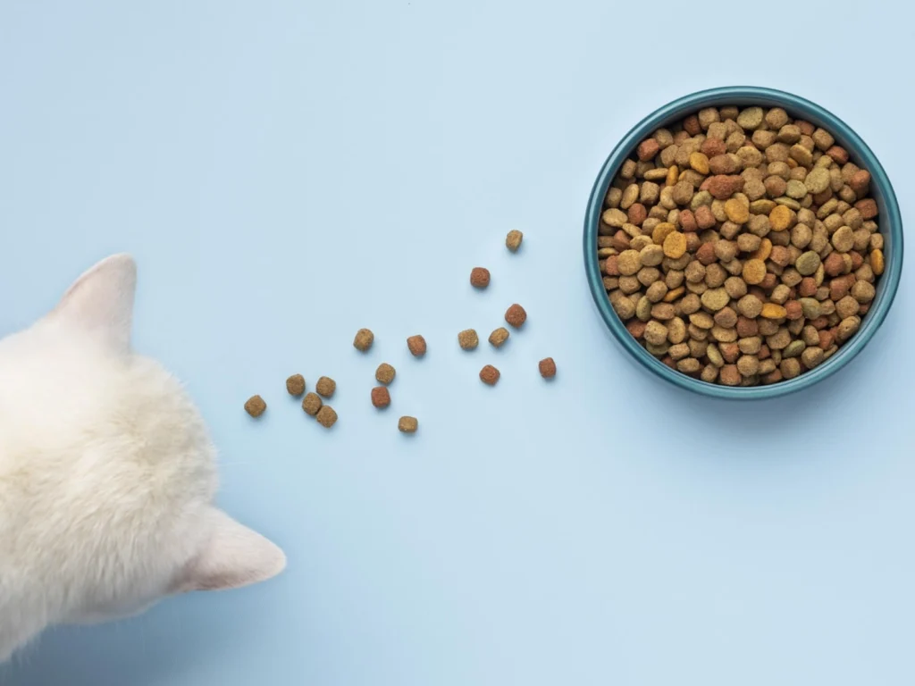 Каким должен быть состав корма для котят