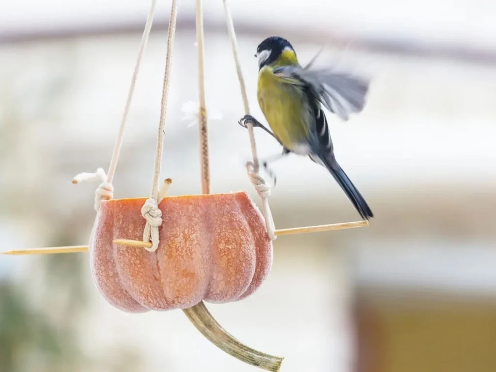 Годівничка з гарбуза