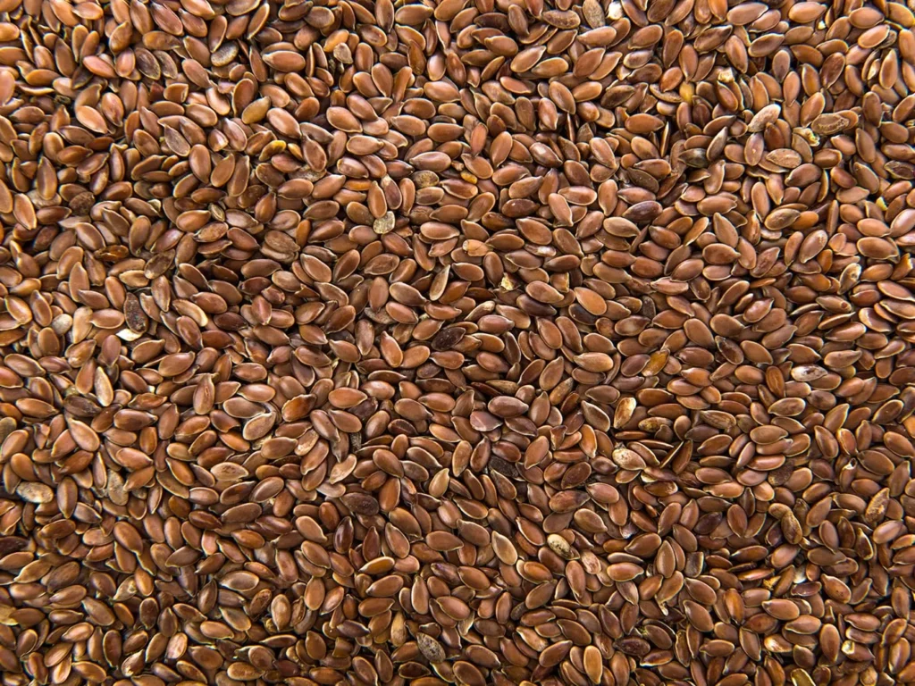 Користь льону