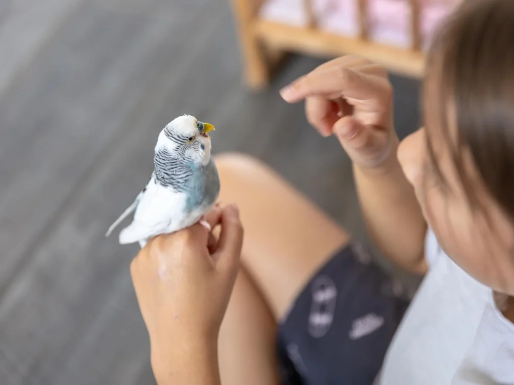 Папуга на руці у дівчинки