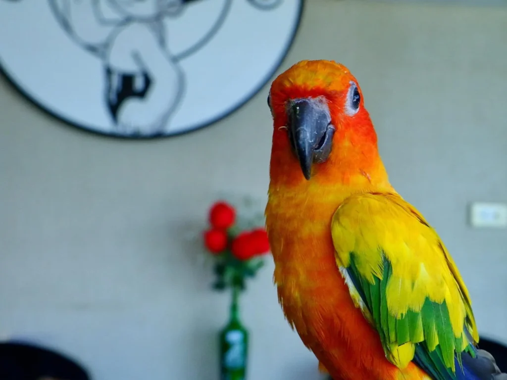 Яскравий папуга