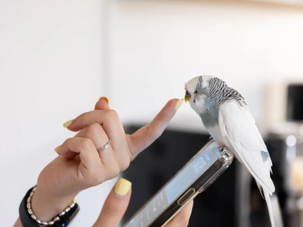 Жінка грає з папугою